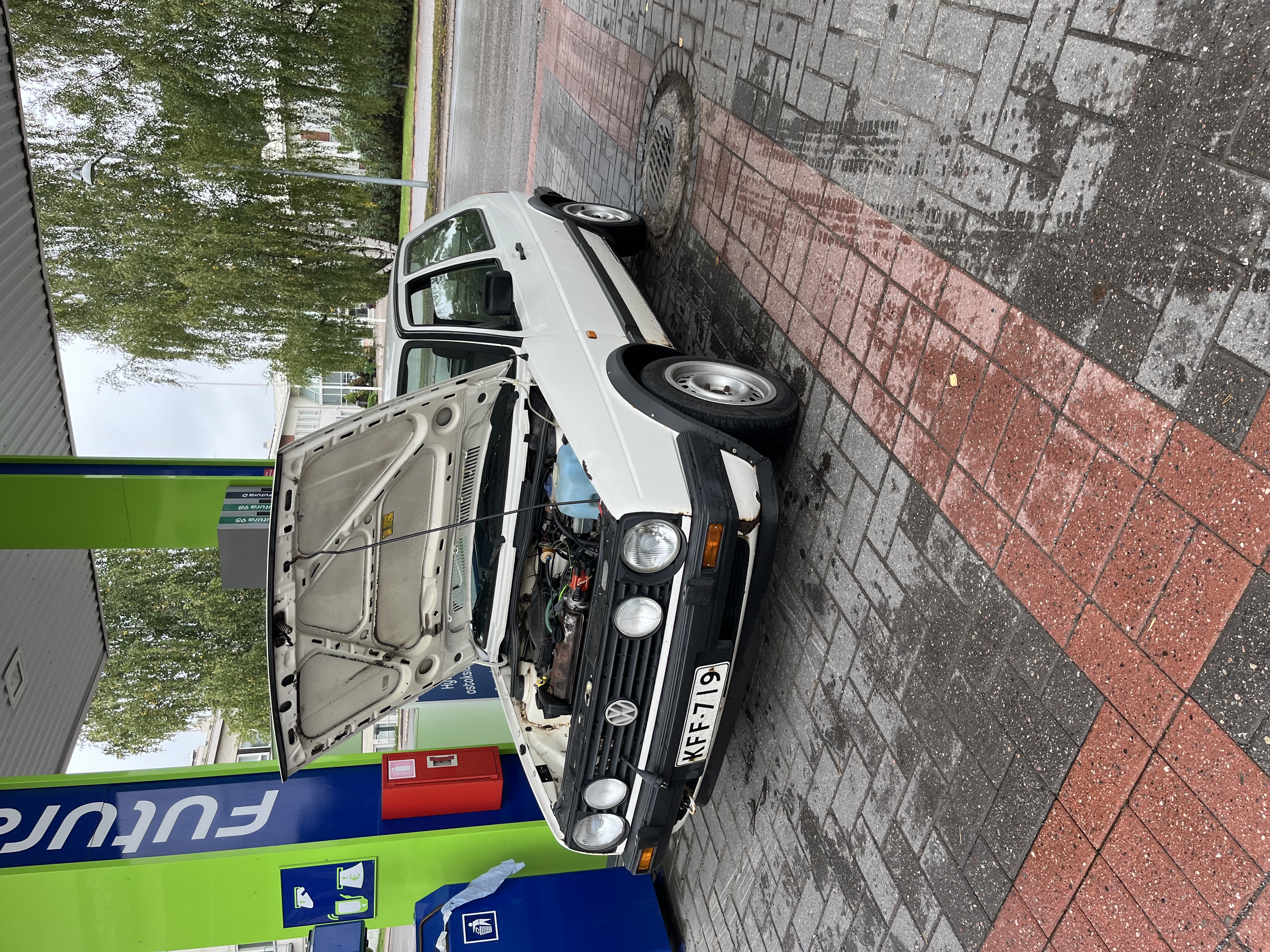 IMG_9115.jpeg