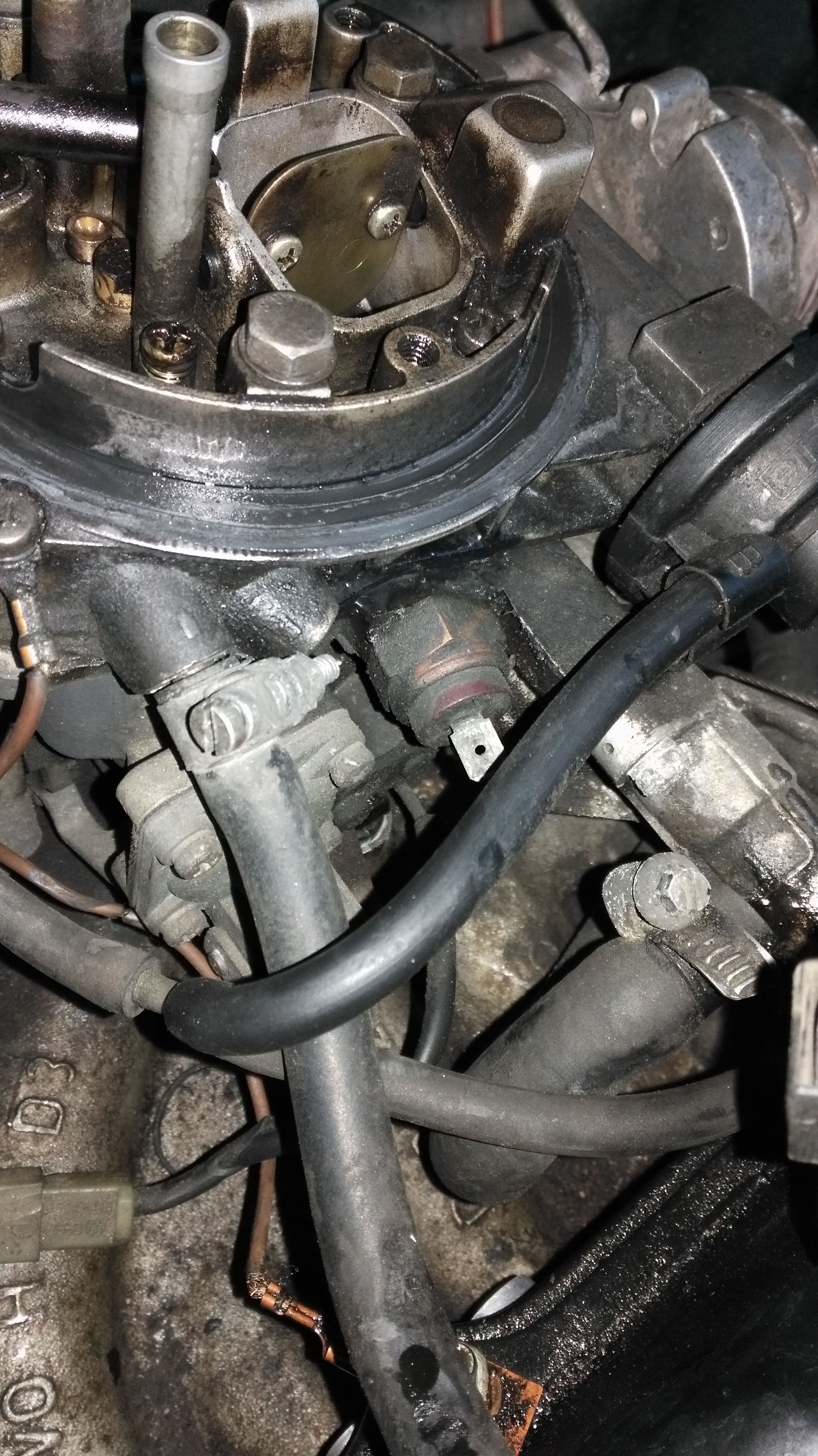 IMG-20160414-WA0068.jpeg